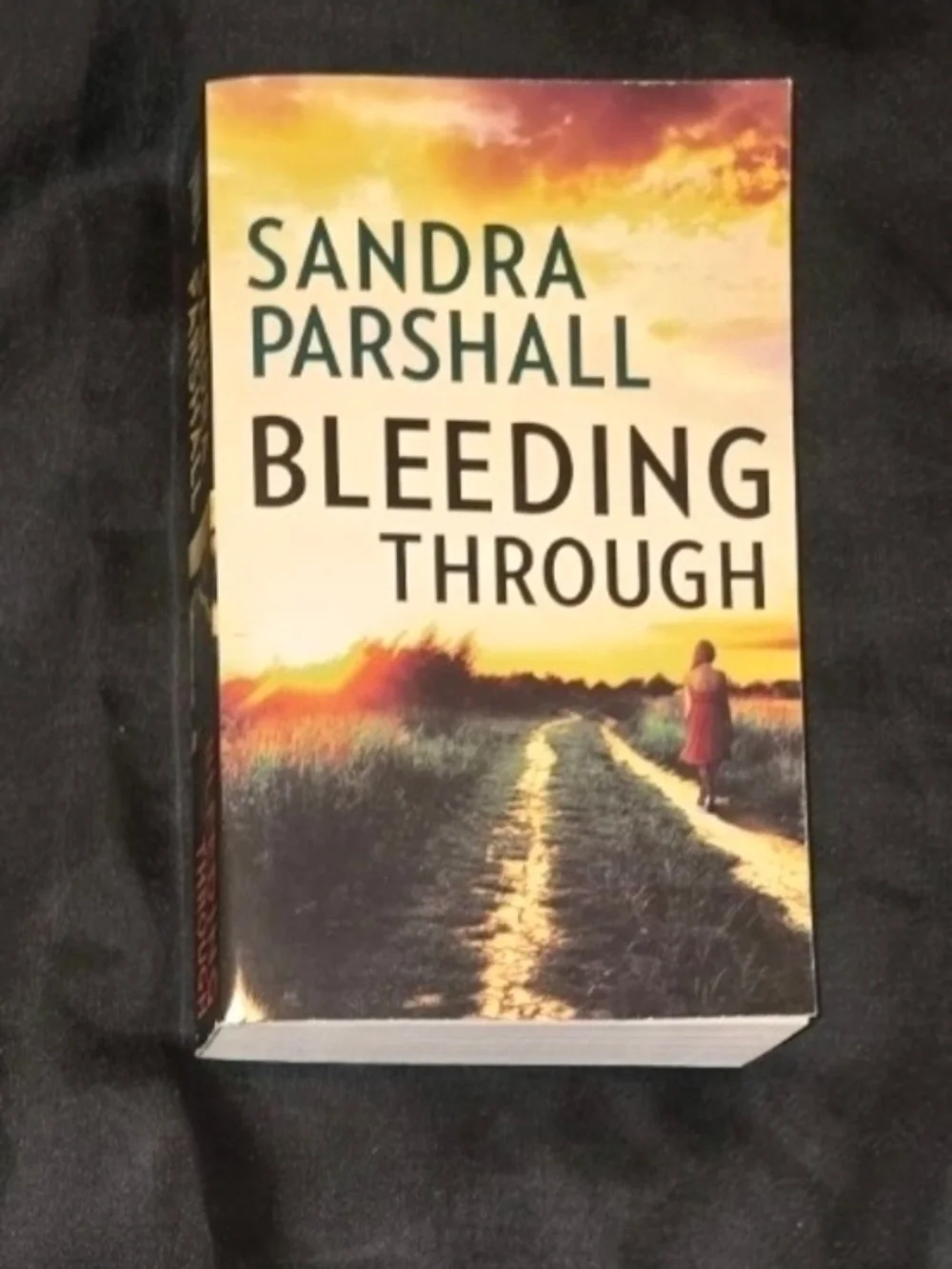 (4 For $20) Bleeding Through By Sandra Parshall Paperback